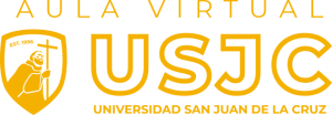 Aula Virtual USJC